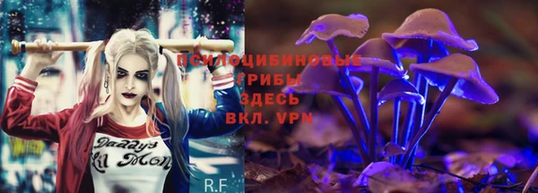 каннабис Каменка