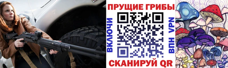 Галлюциногенные грибы ЛСД  Купить закладки  Пугачёв 